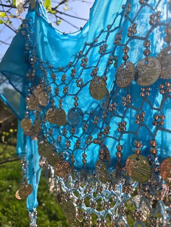 Accessories - Chiffon belly dancing hip scarf /skirt /belt